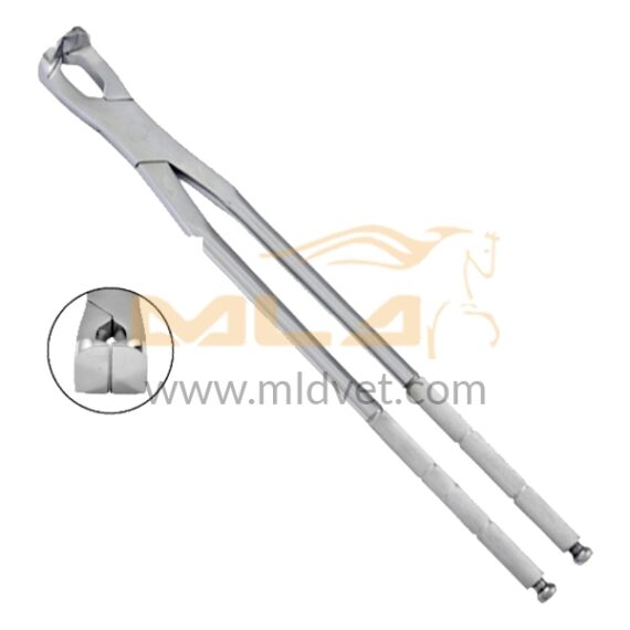 Simple Molar Spreader