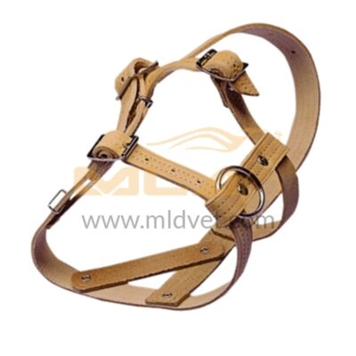 Halter Made of Strong Leather 1