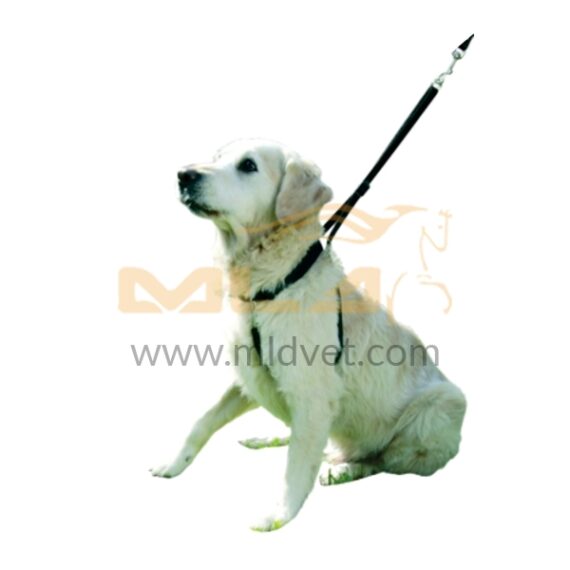 Nylon Harness for Dog