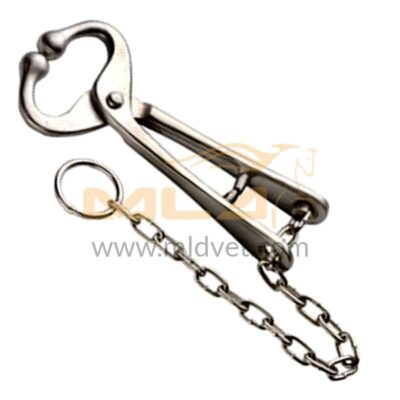 Bull Holder with Chain 20.5cm