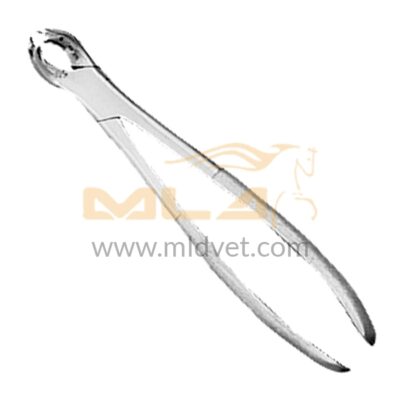 Growing Tooth Forceps