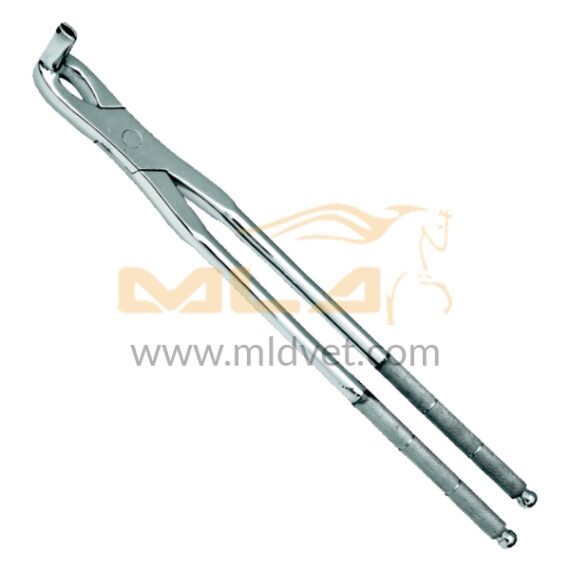 Long Nose Fragment Forceps NEW