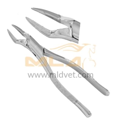 7 Wolf Tooth Incisor Forceps