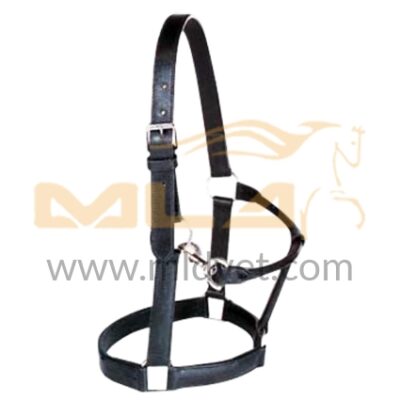 Stable Halter