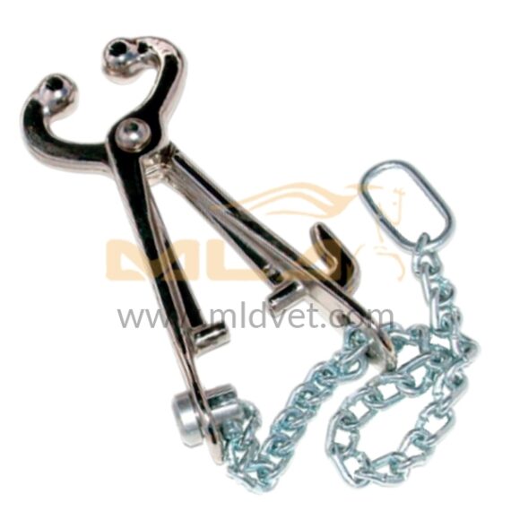 Heavy Bull Holder W/Locking Hook