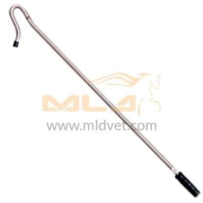 Shepherds Crook