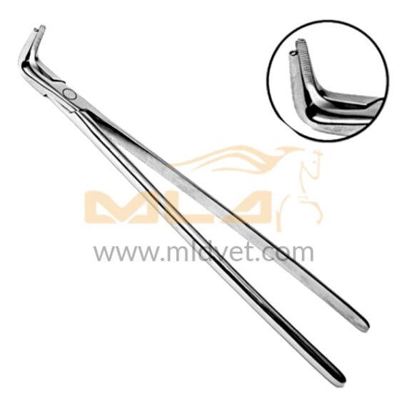 Nose Medium Fragment Forceps