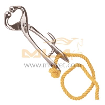 Bull Holder w/locking hook