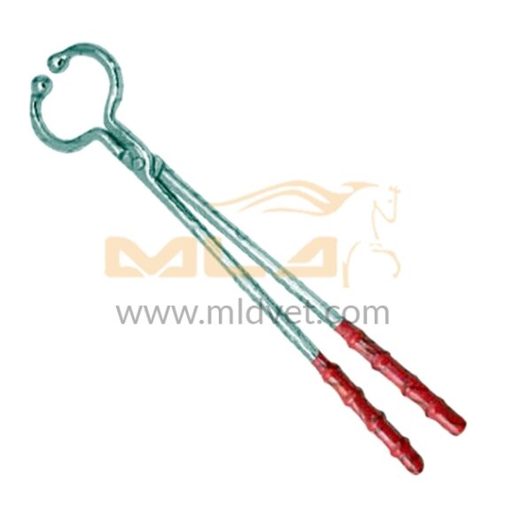 Bull Holder Long Handle 19