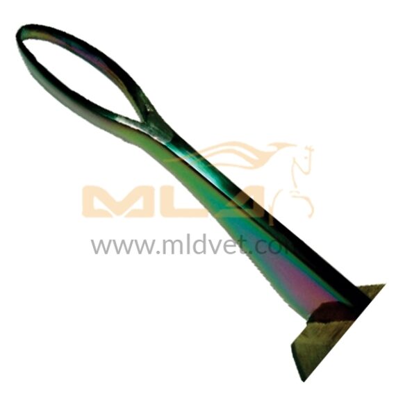 Abscess Loop Knife Blade 30mm