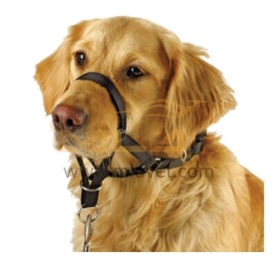 Nylon Harness for Dog