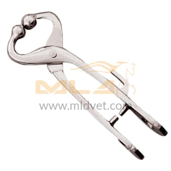 Bull Holder W/Locking Hook 20.5cm