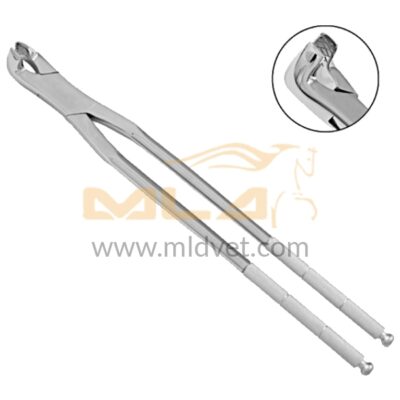 Concave Long Jaw Joint Molar Forceps