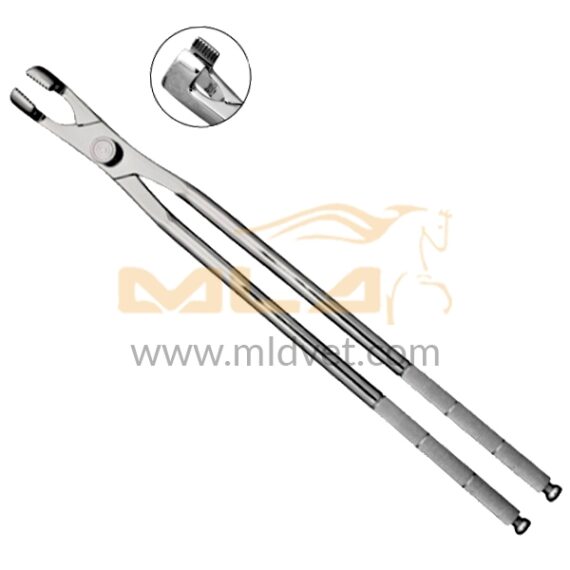 Molar Forceps