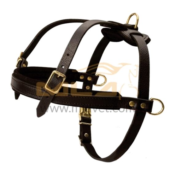 Dog Leather Harness