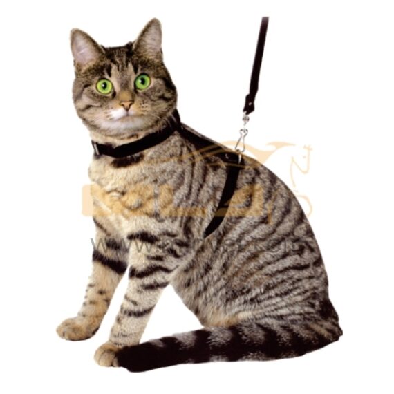 Nylon Harness for Cat